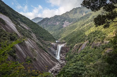 Yakushima - Photo 5