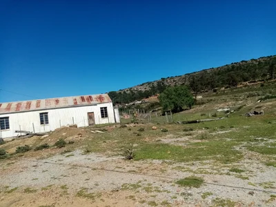 Makana Local Municipality - Photo 4