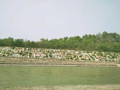 Virbhadra - Photo 2