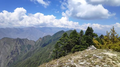 Murma - Photo 5