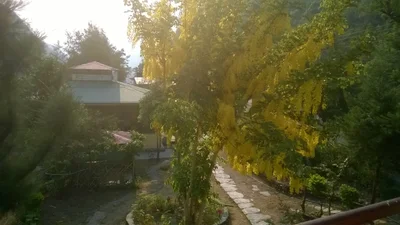 Sital - Photo 4