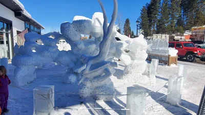 McCall - Photo 5