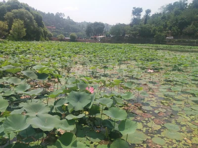 Naukuchhiatal - Photo 3