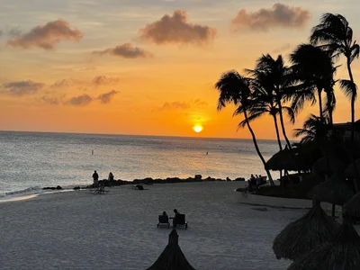 Palm - Eagle Beach - Photo 2
