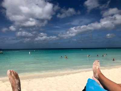 Palm - Eagle Beach - Photo 3