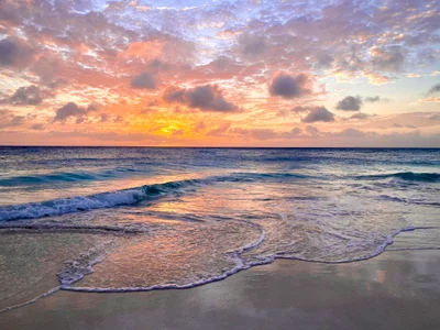 Palm - Eagle Beach - Photo 5