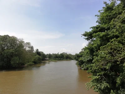 Kelaniya - Photo 2