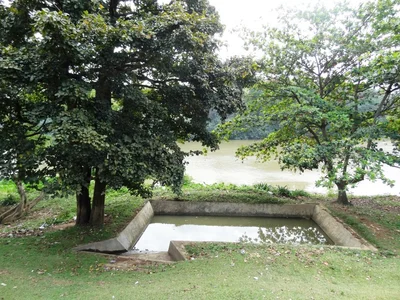 Kelaniya - Photo 3