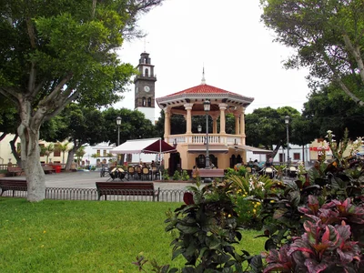 Buenavista del Norte - Photo 3