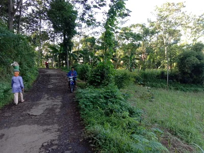 Lawang - Photo 2