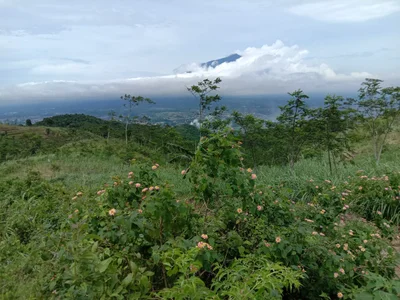 Lawang - Photo 3