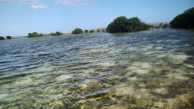 Lajas - Photo 2