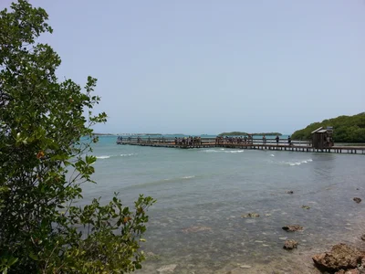 Lajas - Photo 4