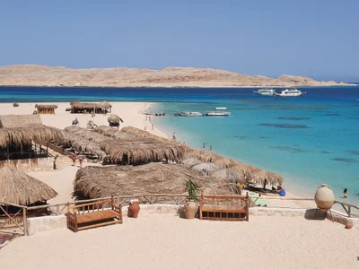 Gamsha - Photo 4