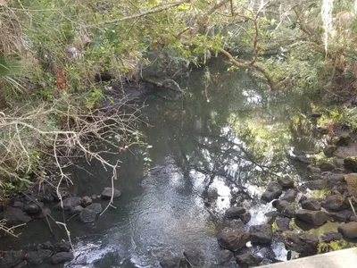 Sarasota County - Photo 2