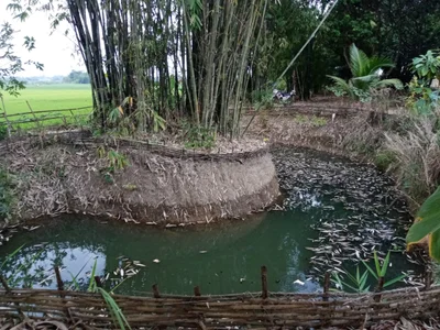 Mae Chan district - Photo 2