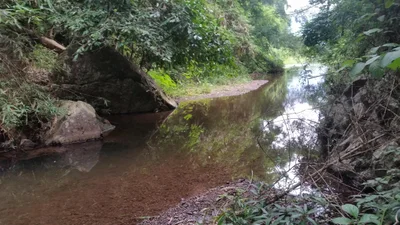 Mae Chan district - Photo 3