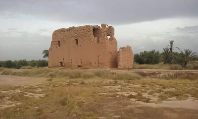 Tameslouht - Photo 3