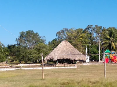 Carrillo - Photo 5