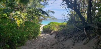 City of Freeport - Photo 3