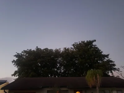 Tamarac - Photo 5