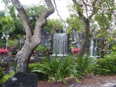 Lauderhill - Photo 2