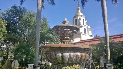 Plantation - Photo 4