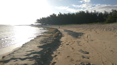 Surinam - Photo 3