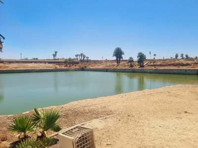 Old Karnak - Photo 4