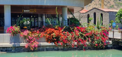 Port Louis - Photo 4