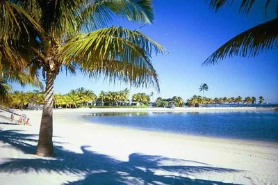 Cutler Bay - Photo 2