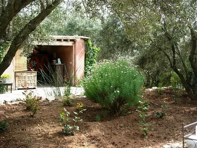 Amizmiz - Photo 3