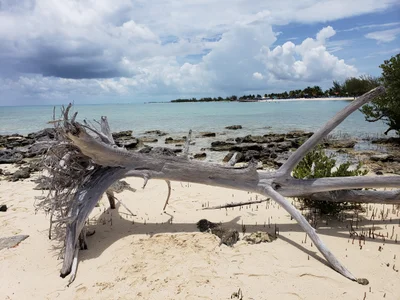 South Eleuthera - Photo 4