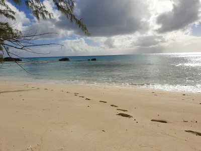Cat Island - Photo 2