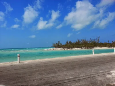 Cat Island - Photo 4