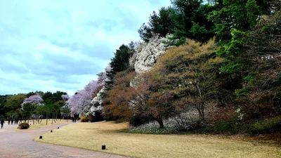Asan-si - Photo 2