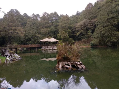 Alishan Township - Photo 4