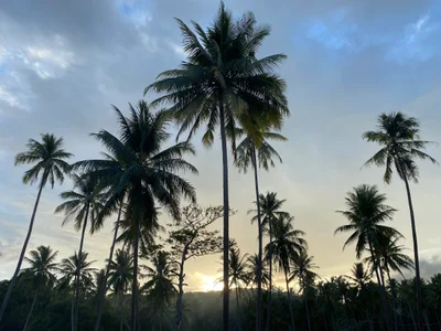 Ko Pha-ngan - Photo 3