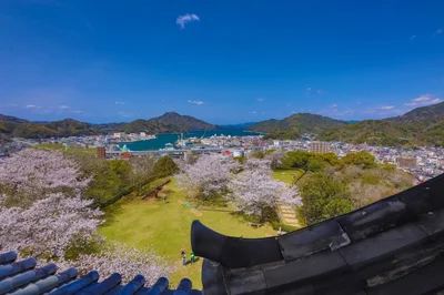 Uwajima - Photo 3