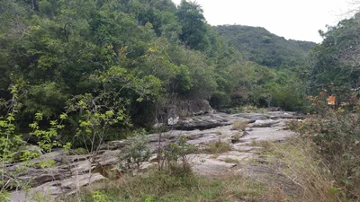 Tai Po District - Photo 3