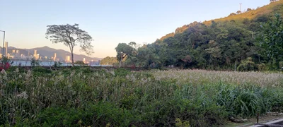 Tai Po District - Photo 5