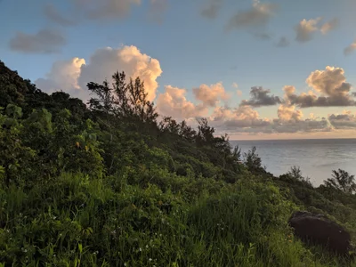 Princeville - Photo 4