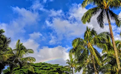 Princeville - Photo 5