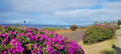 Koloa - Photo 2