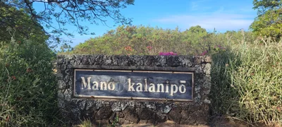Koloa - Photo 3