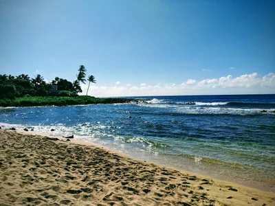 Poipu - Photo 5