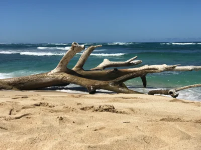 Mokuleia - Photo 3