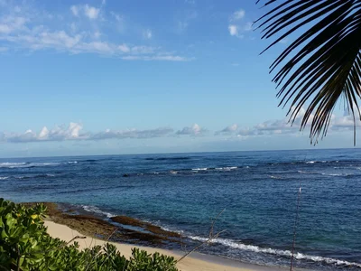 Mokuleia - Photo 5