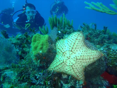 Scuba Total - Photo 5