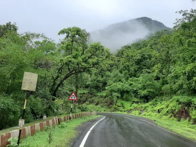 Vansda Taluka - Photo 3
